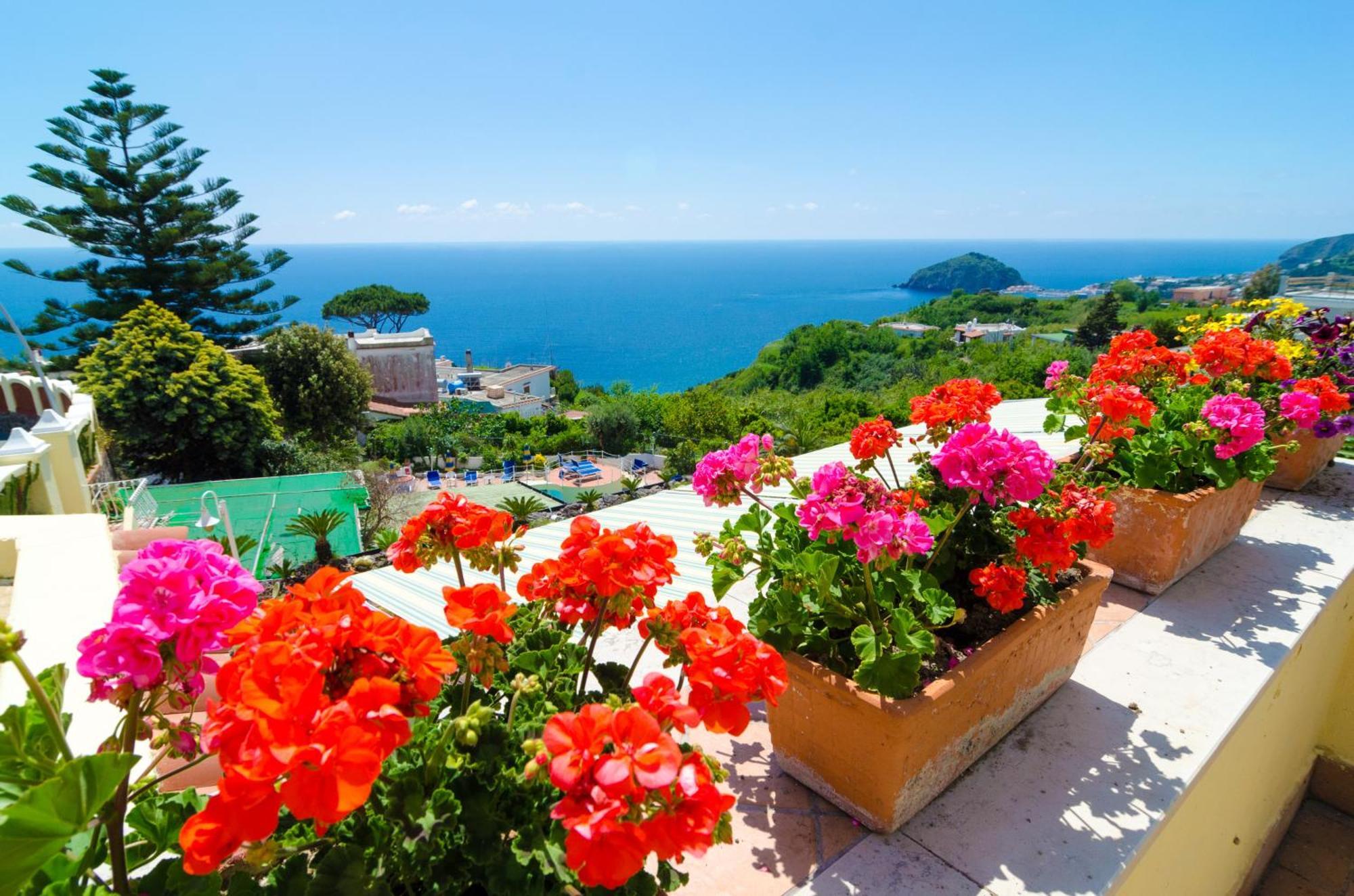 Terme Saint Raphael 4* Barano dʼIschia